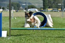 Agility