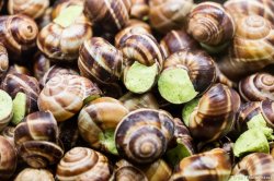 Escargots de Bourgogne