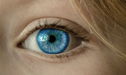 Lentilles de contact