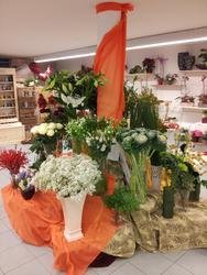 Fleurs et plantes
